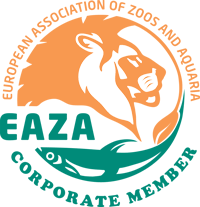 Logo EAZA Akongo formation soigneur