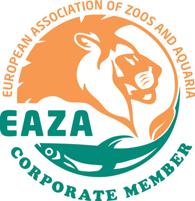 Logo Eaza