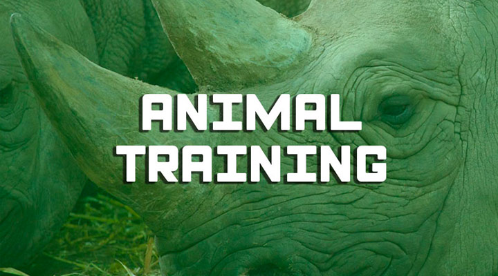 Formation animal training zoo
